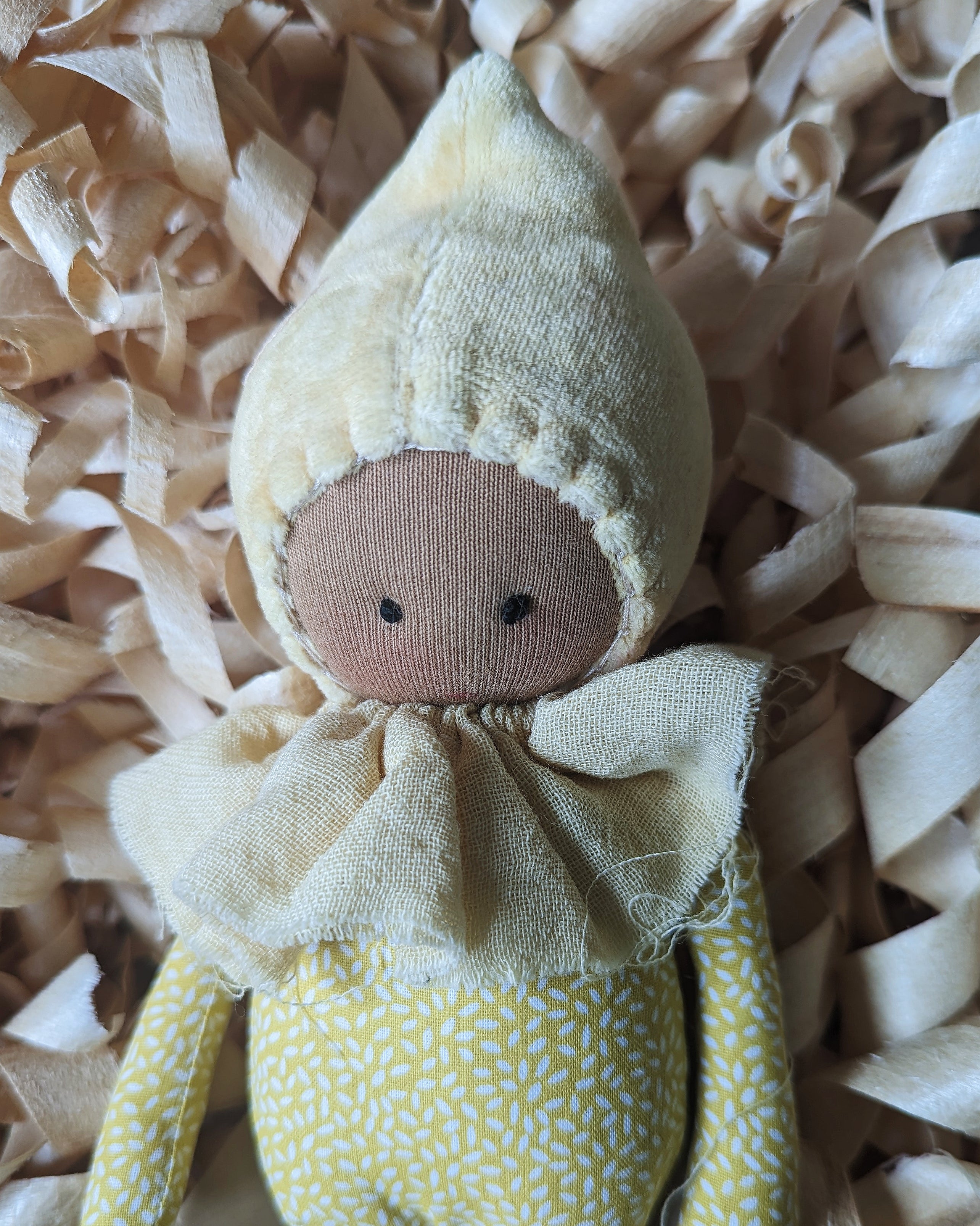 Studio Escargot Gnome 10